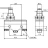 Z-15GQ-B (LXW5-11M) Концевой макси переключатель с большой высокой кнопкой 3pin C-NO-NC под винты 15A 250V