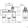 Z-15GW22-B (LXW5-11G2) Концевой макси переключатель с роликом на коротком рычаге (планке) 3pin C-NO-NC под винты 15A 250V